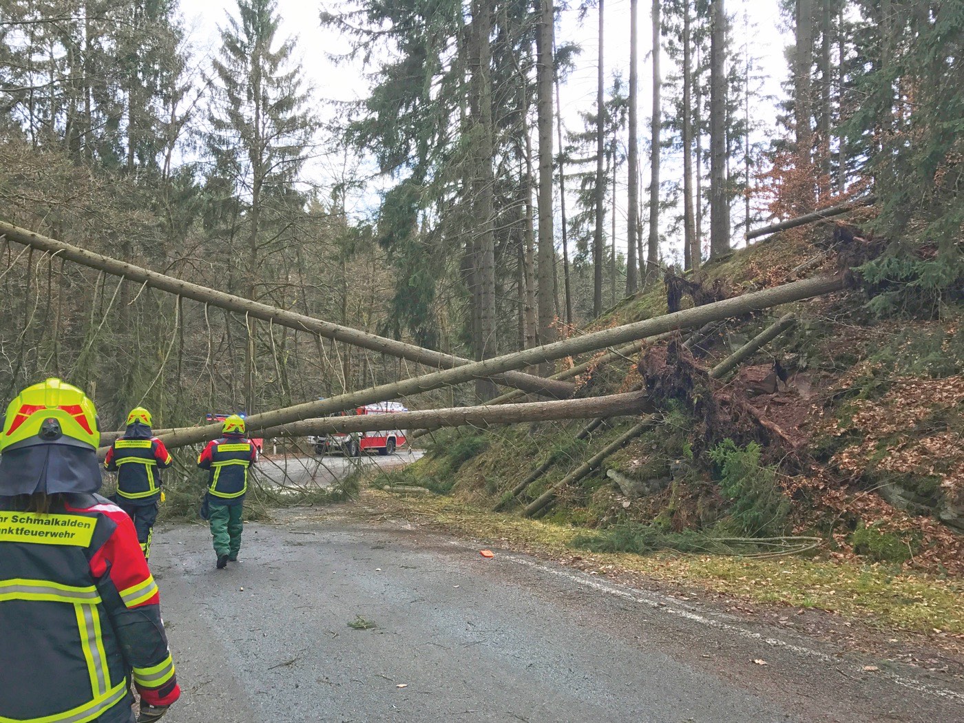 Einsatzkräfte räumen nach einem Unwetter umgestürzte Bäume von einer Straße